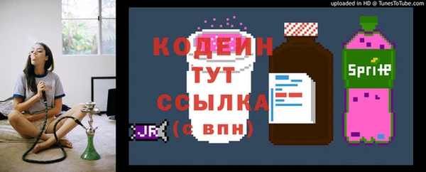 СК Мегион