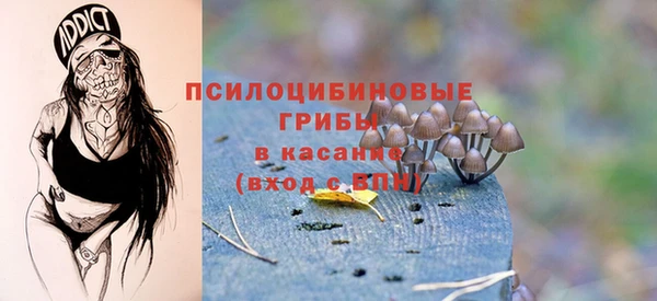 ALPHA-PVP Медвежьегорск