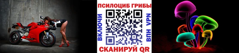 площадка телеграм Гагарин Псилоцибиновые грибы Psilocybine cubensis где купить