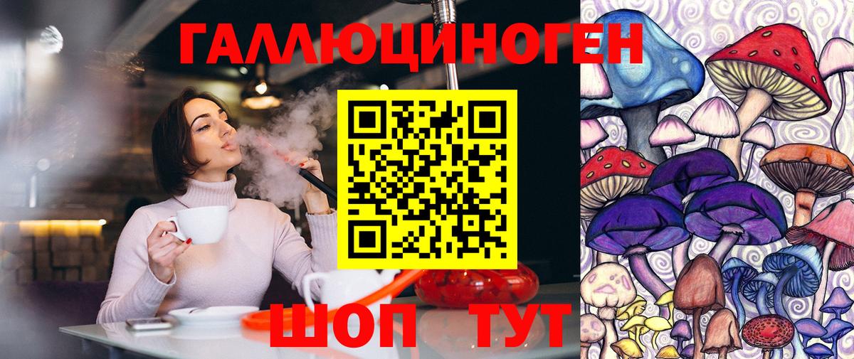 Галлюциногенные грибы Psilocybine cubensis Гагарин