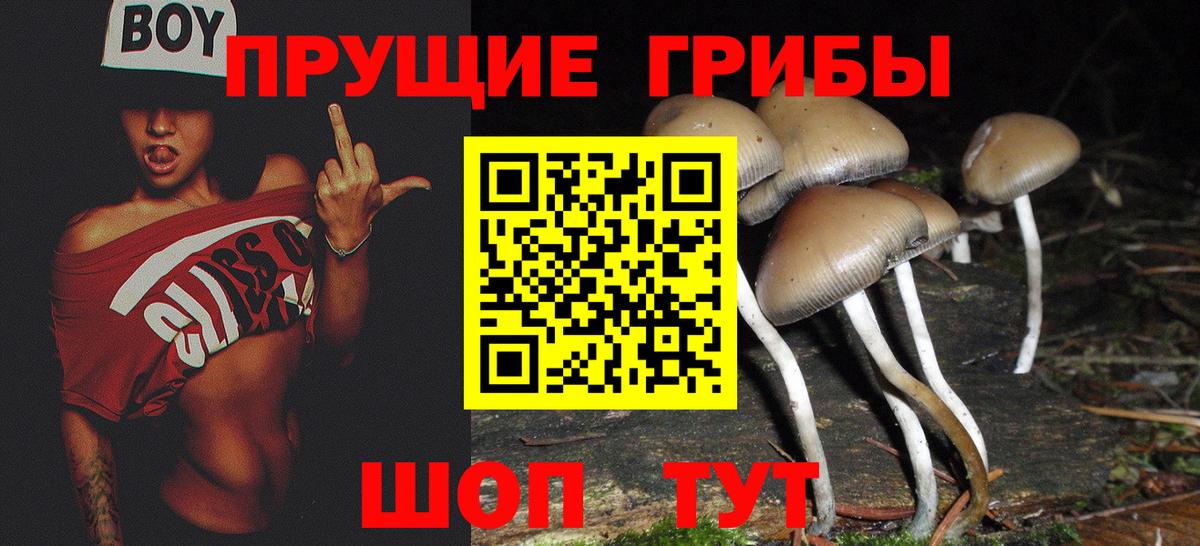 Псилоцибиновые грибы ЛСД  Вход с VPN  Псилоцибиновые грибы Psilocybine cubensis  Гагарин 