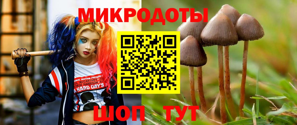 Галлюциногенные грибы Psilocybe Гагарин